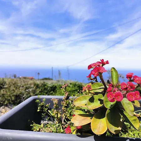 Guayonje Costa Santa Cruz de Tenerife