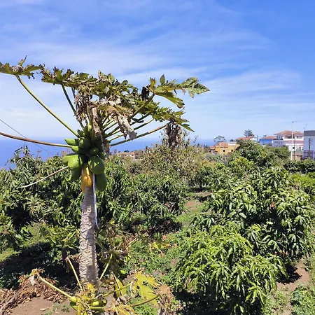 Guayonje Costa Apartment